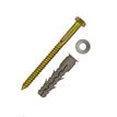 Product Image: Easy Rider®/ Park-It® Lag Bolt, Washer & Shield Set EZR-PRK-LB Checkers EA