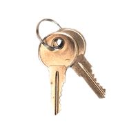 Vervangende sleutels door Sure-Grip® EX Veiligheidskast peddel handgrepen 25998 Justrite