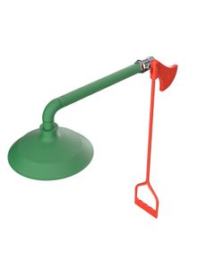 Ring main mounted laboratory safety shower