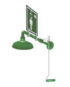 Wall mounted laboratory safety shower